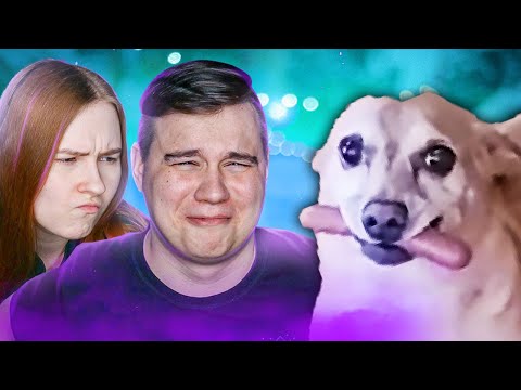 Видео: СОБАКА СКРИМЕР! Реакция на смешные видосы