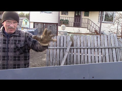 Видео: Металлокоп весной