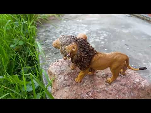 Видео: Львиный прайд 1 сезон 3 серия