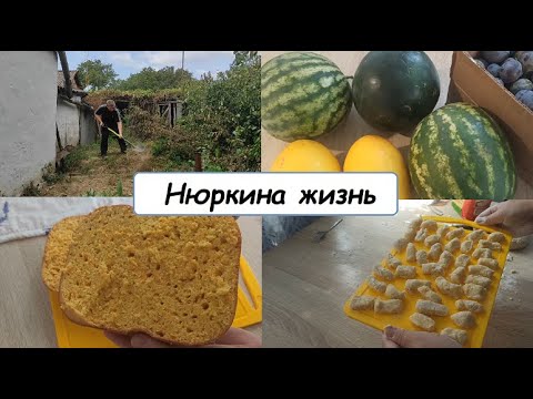 Видео: Один день из жизни //Нюркина жизнь