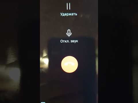 Видео: Мошенник Андрей признался откуда он. И решил поговорить " за политику".))))