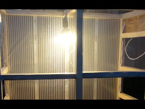 Видео: Вольер для Мух. Инсектарий. Часть-1.