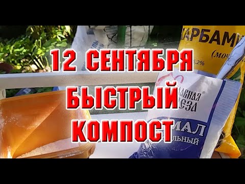 Видео: 12 сентября.  Что я делаю, чтобы компост быстрее созрел