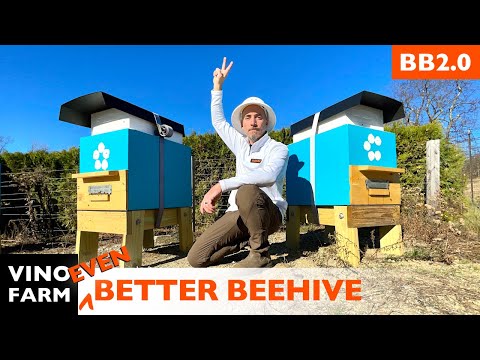 Видео: Я починил улей Лангстрота (снова) - ОБНАРОДОВАНИЕ Bee Barn 2.0!
