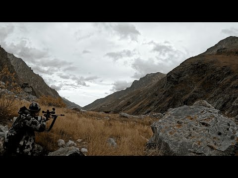 Видео: ГОРНАЯ ОХОТА НА СРЕДНЕ-КАВКАЗСКОГО ТУРА В КАБАРДИНО-БАЛКАРИИ