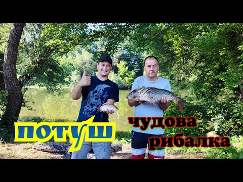 Видео: ПОТУШ / ЧУДОВА РИБАЛКА / ЗДІЙСНЕННЯ БАТЬКОВОЇ МРІЇ / ПІВДЕННИЙ БУГ НАС ПОРАДУВАВ / ШУРШИМ