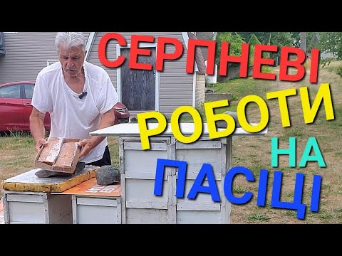Видео: #бджоли САМИЙ ВАЖЛИВИЙ МІСЯЦЬ НА ПАСІЦІ