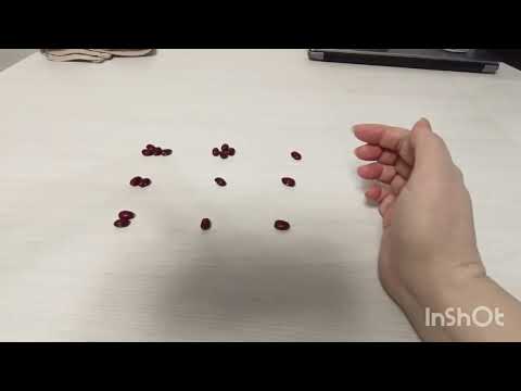 Видео: Важное решение для Вас.Гадание на бобах