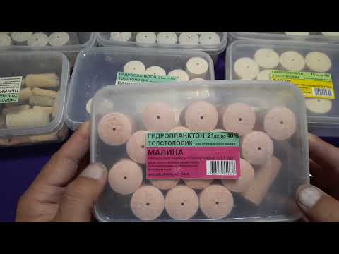 Видео: ТЕХНОПЛАНКТОН г.ПЕНЗА/ТОЛСТОЛОБ ОТ НЕГО ПРОСТО ДУРЕЕТ