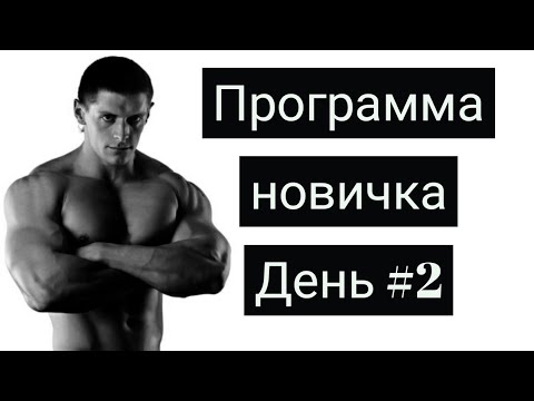 Видео: Адам Козыра: Программа тренировок "РАСТИ БОЛЬШОЙ" (День 2 - Ноги)