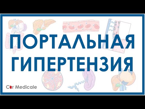 Видео: Портальная гипертензия - механизм развития, причины, проявления