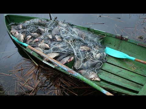 Видео: Борьба с браконьерами.Рейды Рыбнадзора.