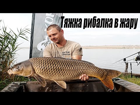 Видео: Тяжко ловити коропа в літню спеку???