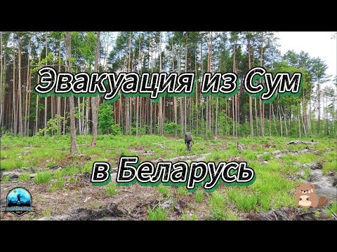 Видео: Эвакуация из Сум в Беларусь