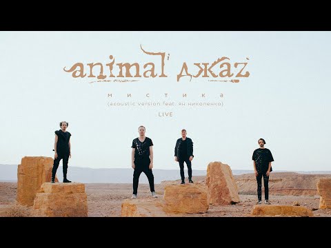 Видео: Animal ДжаZ feat. Ян Николенко — Мистика (Acoustic version, Live, 2022)