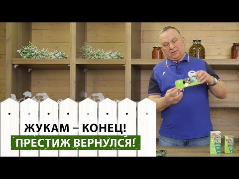 Видео: Суперсредство для избавления от колорадского жука! Чем обработать картофель перед посадкой?