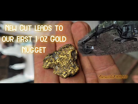Видео: Разведка с помощью экскаватора — наш первый золотой самородок весом в 1 унцию