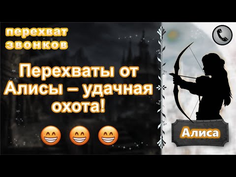 Видео: АЛИСА. Перехваты от Алисы – удачная охота!