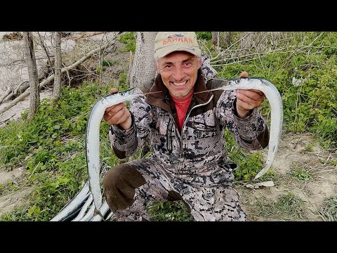 Видео: ЗМЕИ АТАКУЮТ ИЗВИВАЮТСЯ И ПУТАЮТ СНАСТИ. Ловля Саргана в Балтийском Море.