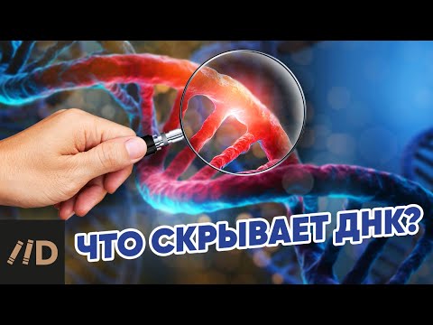 Видео: Что скрывает ДНК?