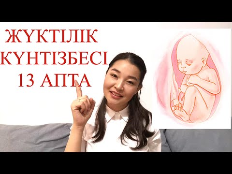 Видео: ЖҮКТІЛІК КҮНТІЗБЕСІ 13 АПТА//КАЛЕНДАРЬ БЕРЕМЕННОСТИ