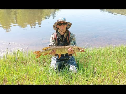 Видео: Рыбалка река Чусовая 20 05 2023