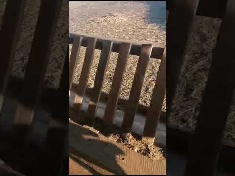 Видео: Кормушки для сена и зерна. Ясли для сена и зерна. Для овец.