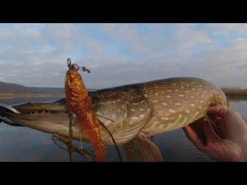 Видео: Ловля щуки на силикон 5 дюймов.