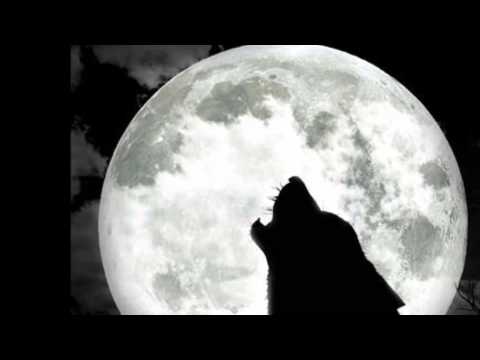 Видео: Game Over - Вълк Единак