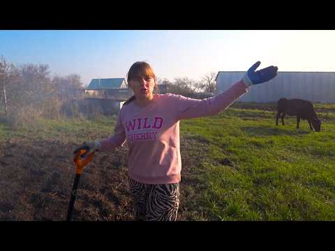 Видео: ВСПАШКА ЦЕЛИНЫ МОТОБЛОКОМ, ПОЛУЧИТСЯ ЛИ ПОСАДИТЬ ЧЕСНОК И КЛУБНИКУ. ИЗ ГОРОДА В ДЕРЕВНЮ 869 серия