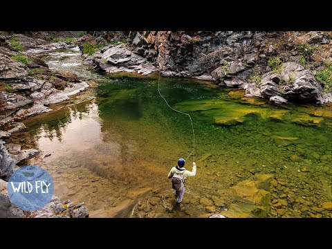 Видео: Исследование отдаленных ледниковых ручьев в Канаде (часть 2)