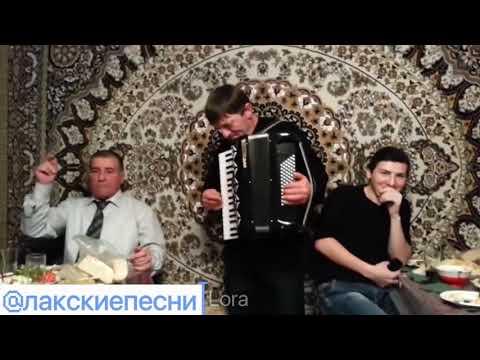 Видео: Лакцы поют 209🎤Закарья🎤   3 февраля 2025 г.