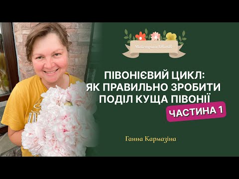Видео: Півонієвий цикл. Частина 1. Як правильно зробити поділ куща півоніі.