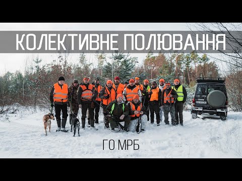 Видео: Полювання з дружніми КОЛЕКТИВАМИ МРБ.