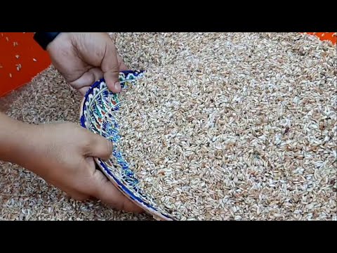 Видео: 4 вида ПЛОВА!!! Часть 4. Андижанский ПЛОВ из девзиры. Рецепт плова. Как готовить плов.