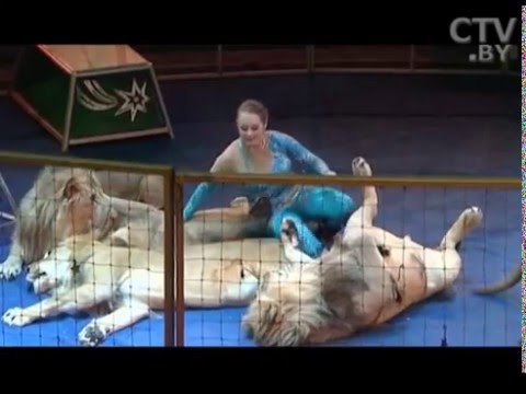 Видео: «Львиная» психология дрессировщицы Ольги Борисовой