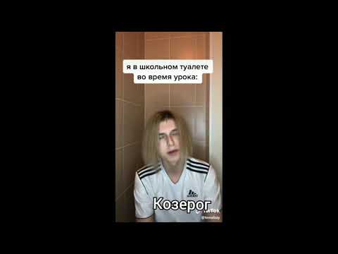 Видео: Знаки зодиака как мемы из тик ток #10