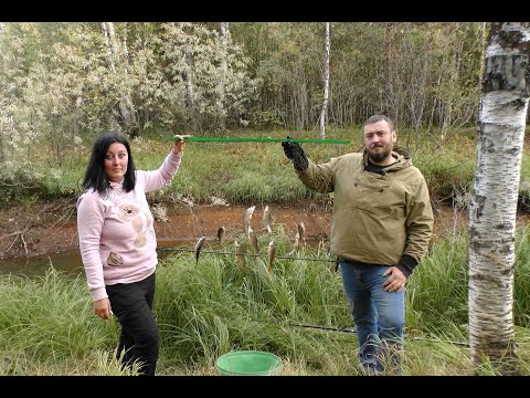 Видео: Рыбалка на экраны ► А на вечер шашлычок!!