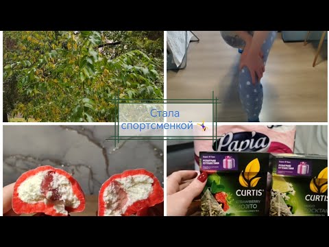 Видео: Влог🤸‍♀️Начала делать зарядку💪Впервые пробую моти🧁Помешалась на чаях🤣