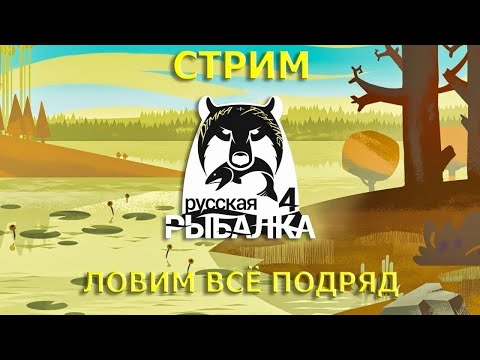 Видео: Ищем трофа, Фарм Русская Рыбалка 4