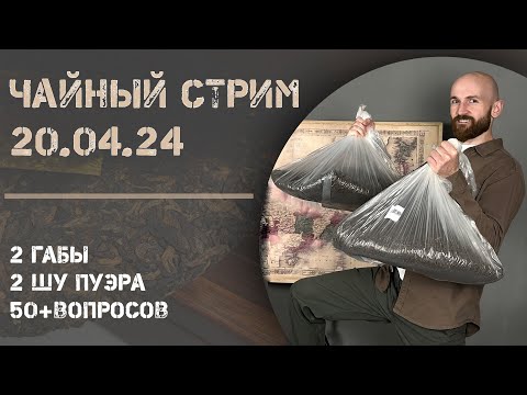 Видео: Пьем китайский чай, обсуждаем чайные темы| Как съездили к Брониславу Виногродскому
