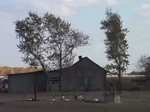 Видео: село Пахарь 3 часть