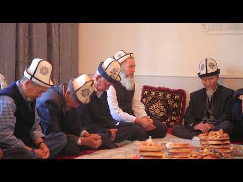 Видео: Алихандын суунот тою 1