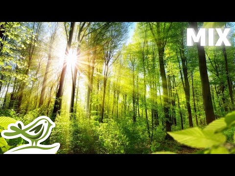 Видео: Peder B. Helland - Sunny Mornings (весь альбом)