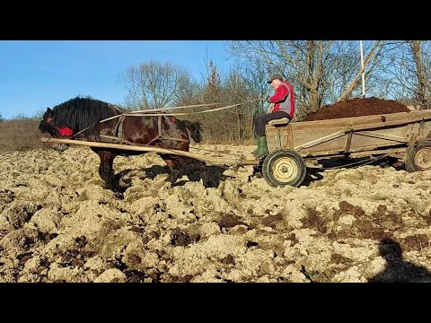 Видео: 🥁Добриня міцний горішок💪добре викладається в роботі🔥💣💯