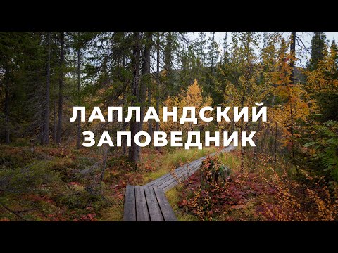 Видео: Осенний Кольский: Лапландский заповедник