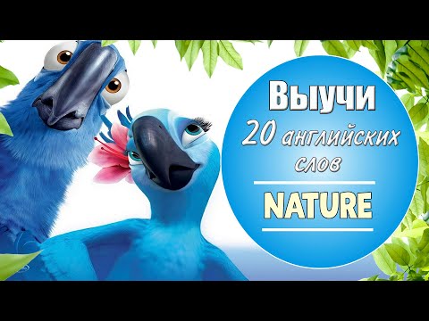 Видео: Выучи 20 английских слов. Природа. Nature