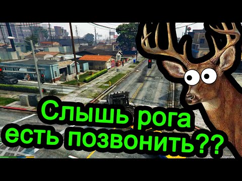 Видео: GTA 5 - Слышь рога есть позвонить