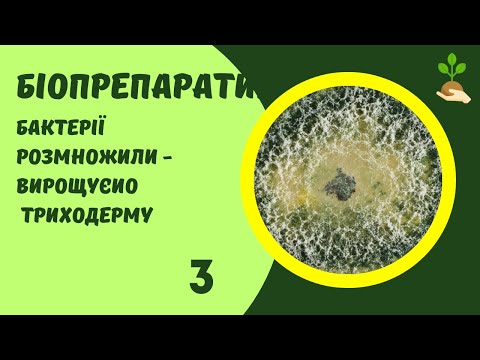 Видео: Як виростити триходерму в домашніх умовах