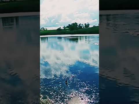 Видео: полное видео на канале